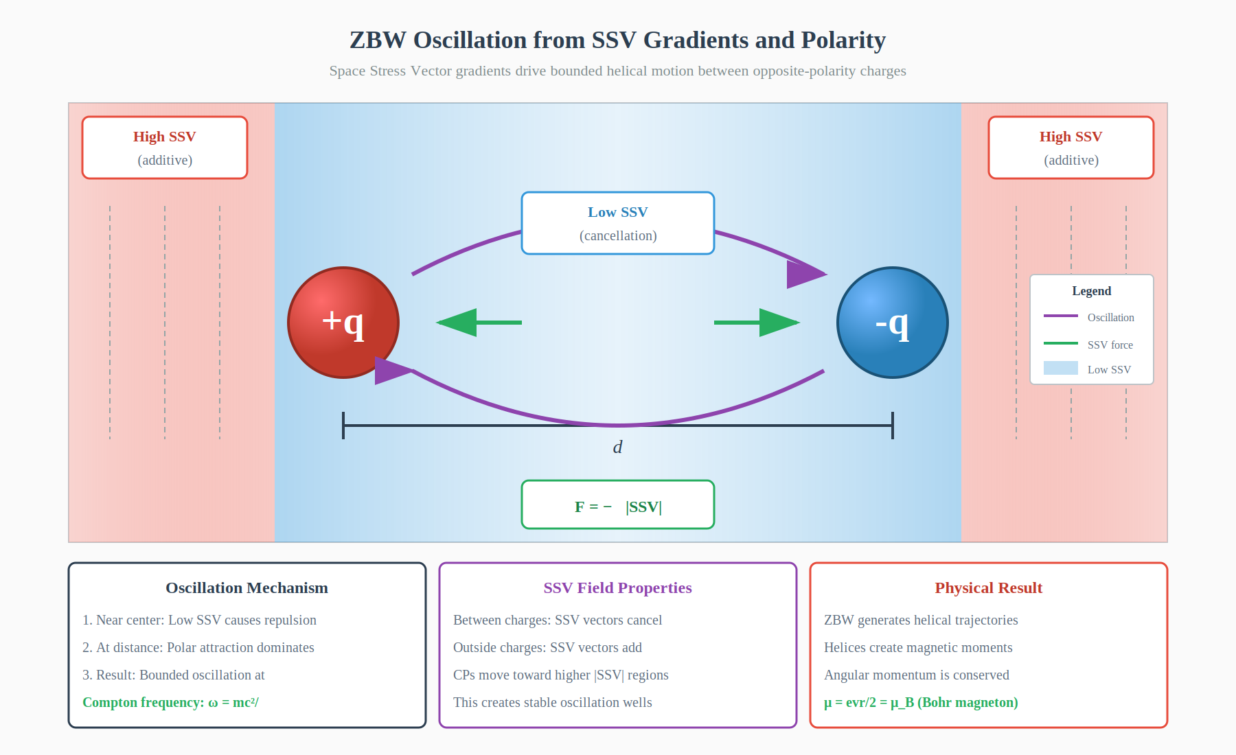 ZBW Oscillation from SSV Gradients and Polarity